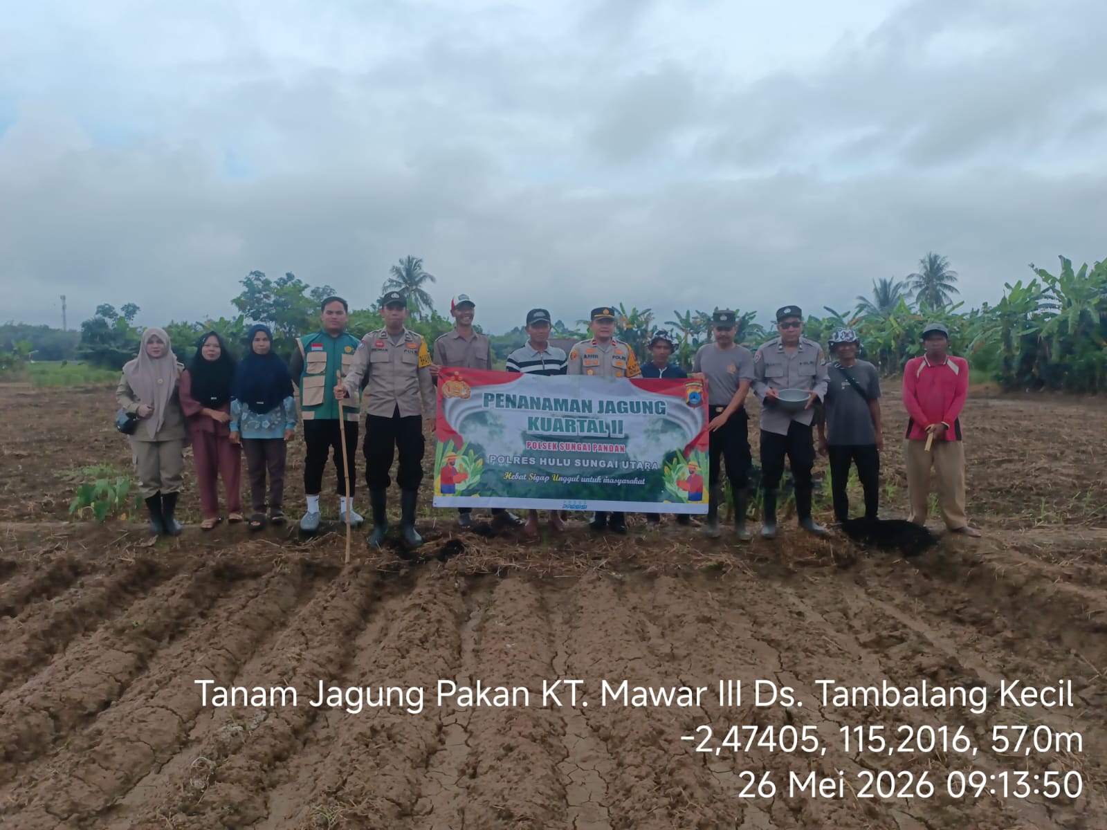 Polsek Sungai Pandan Tanam Jagung Pakan Seluas 1 Hektar di Desa Tambalang Kecil, Wujud Nyata Dukungan Ketahanan Pangan Nasional