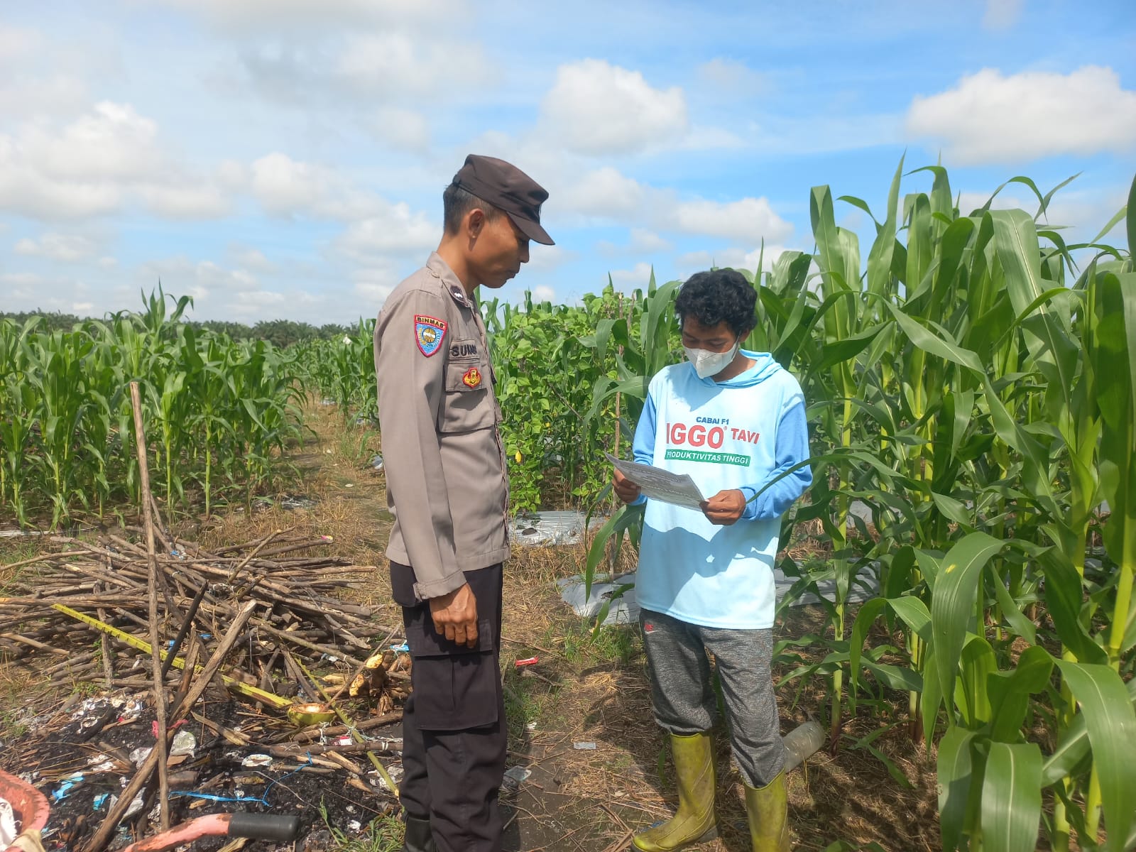 Polsek Banjang Gencarkan Penyuluhan Pertanian Jagung di Desa Pulau Damar, Wujud Nyata Dukungan Polri terhadap Ketahanan Pangan Nasional